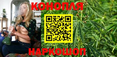 дживик Славгород