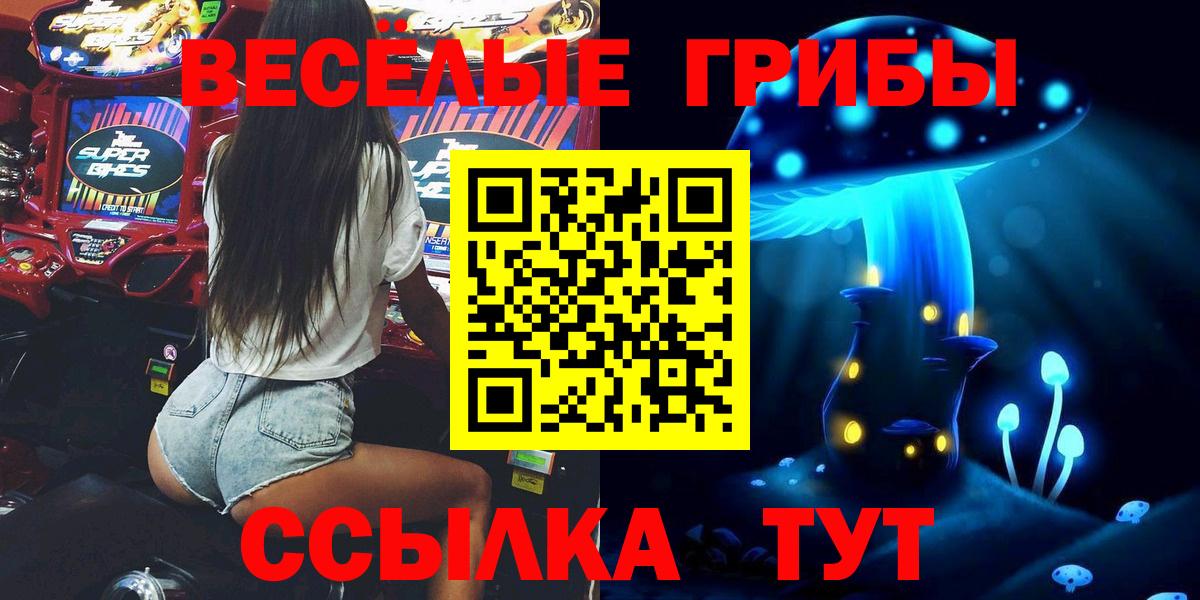 Сызрань  Псилоцибиновые грибы Psilocybine cubensis  Вход с VPN 