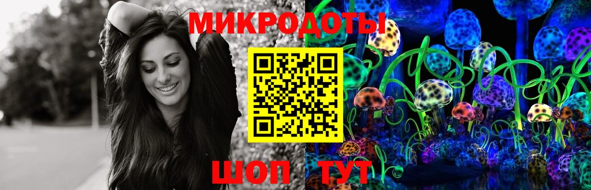 Псилоцибиновые грибы Cubensis Сызрань